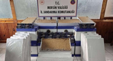 Makaronlar ele geçirildi