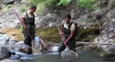 '11 bin 284 yaban hayvanını tedavi ettik'