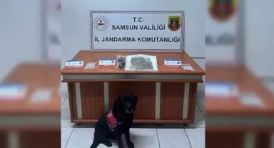 Evinde uyuşturucu imal eden şüpheliye gözaltı