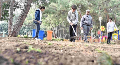 HayatPark’ı çimlendirdiler