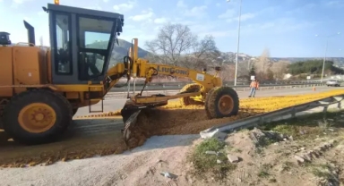 Karayoluna portakal posası döküldü