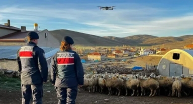 Kaybolan küçükbaşlar dron yardımıyla bulundu