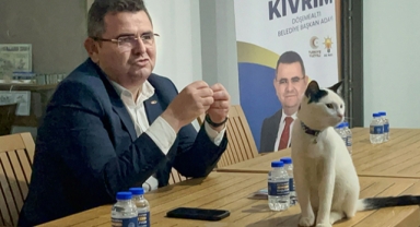 Mahalle toplantısında masaya kedi çıktı