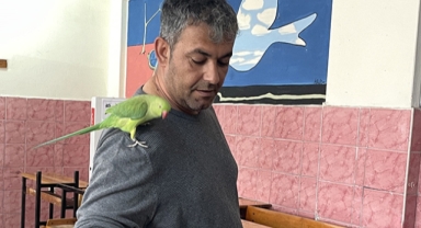 Oy kullanmaya papağanıyla geldi