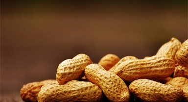 Protein deposu: Yer fıstığı