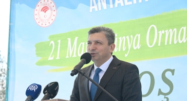 Şahin: Fidanlar nefes olacak