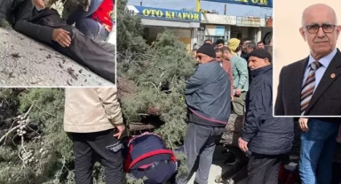 Seçim çalışmasında üzerine ağaç devrildi