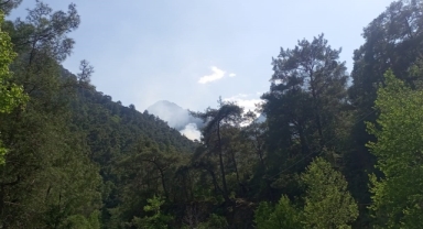 Antalya'da ormanlık alanda yangın