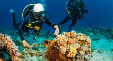 Antalya'nın Derin Suları: En iyi dalış noktaları