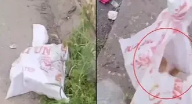 Böyle vicdansızlık görülmedi! Bakın çuvaldan ne çıktı