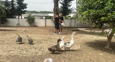 ‘Can dostlar’la sosyalleşiyorlar