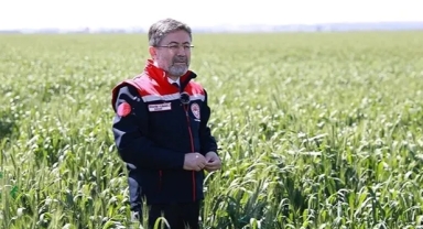 Çim yerine 'kuraklığa dayanıklı bitki' kullanın