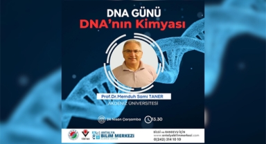 DNA’nın kimyası