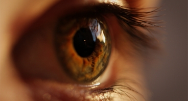 Göz sağlığında tehlikeli bir durum: Retina Dekolmanı