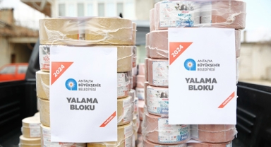 Hayvancılara Çoban Haritası desteği