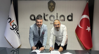 İstihdam işbirliği