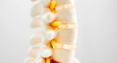Kemiklerin Gücü: Osteoporoz
