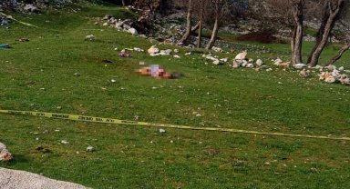 Köpek vahşeti! Yaşlı kadın hayatını kaybetti