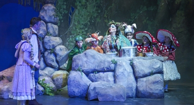 Rapunzel'e seyirci akını