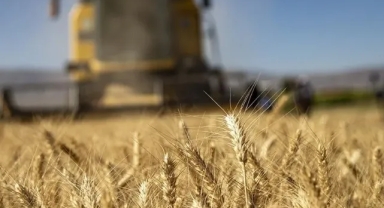 Tarımsal girdi fiyat endeksi açıklandı
