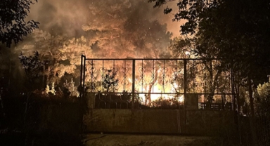 Yangına müdahale edildi