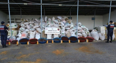 10 ton kaçak tütün ele geçirildi