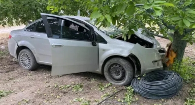 Ağaca çarparak durdu! 1 ölü, 2 yaralı
