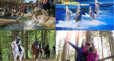 Antalya'da hayvanlarla dolu bir gün geçirebileceğiniz yerler!