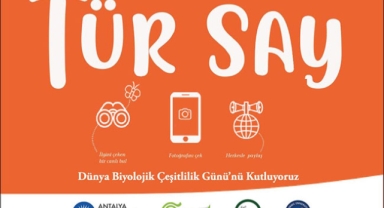 Antalya’da ilk Tür Say etkinliği