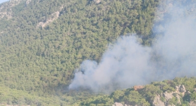 Antalya'da orman yangını