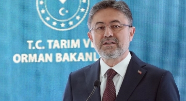 Bakan Yumaklı'dan sokak hayvanları açıklaması