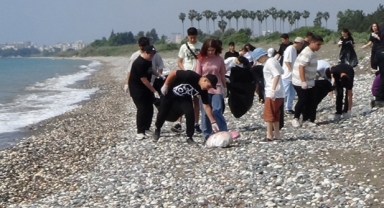 Caretta caretta temizliği
