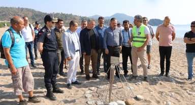 Caretta sezonu 1 ay erken başladı