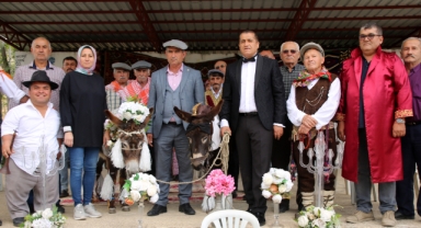 Eşekler 'evet' dedi: Sembolik nikah kıydılar