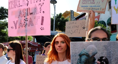 Hayvanseverlerin tepkisi büyüyor