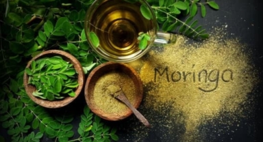 Moringa ile sağlığınıza yeşil ışık yakın!