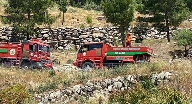 Otluk alandaki yangın söndürüldü
