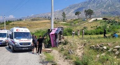 Safari araçları çarpıştı: Çok sayıda yaralı var