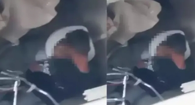 Tavuğa cinsel istismar şüphelisi tutuklandı