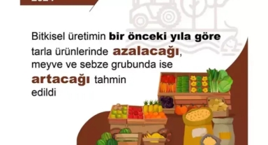 TÜİK: tahıl üretiminde azalış, sebze meyve üretiminde artış öngörülüyor