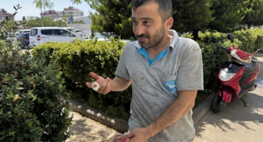 Acemi kasaplar hastanelik oldu