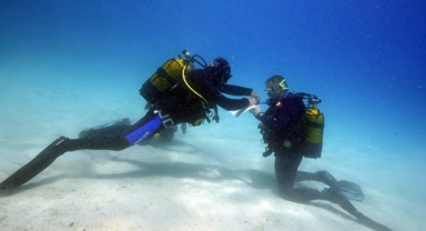 Antalya'da sayıları artıyor