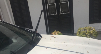 Belediye Başkanı'nın aracına saldırdı, gözaltına alındı