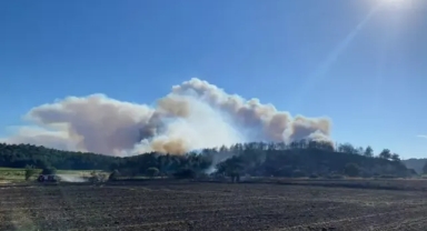 Çanakkale'de orman yangını