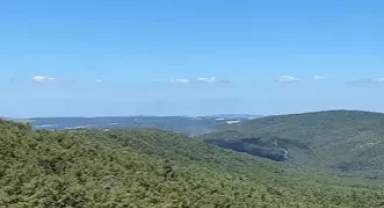 Çanakkale'de orman yangını...Havadan ve karadan müdahale ediliyor
