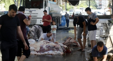 Çocuklar, kurban kesimini korkulu gözlerle izledi