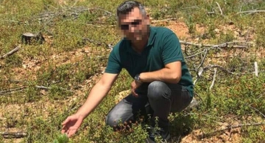 Hibe edilen ağaçları sattılar iddiası! 11 kişi gözaltına alındı