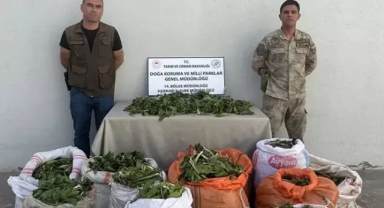İran'a kaçırmak isterken yakandılar... Milyonluk ceza aldılar