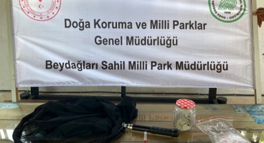 İzinsiz böcek toplamaya dudak uçuklatan ceza!