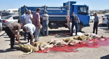 İzinsiz kurban pazarında kaçak kesim